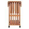 Sophia 5-Pc Snack Table Set; Drop Leaf Top; Teak